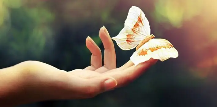 Butterfly on hand