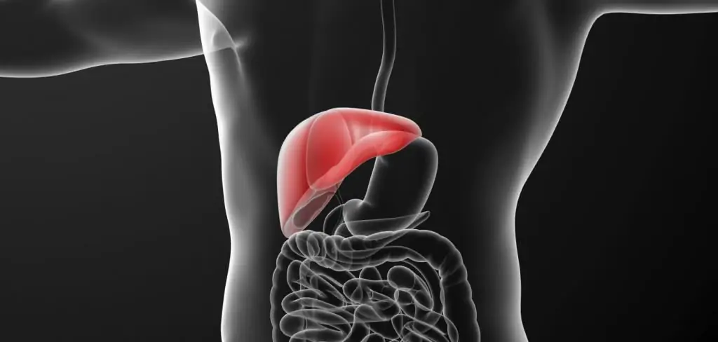 schematische Darstellung von Hepatitis C