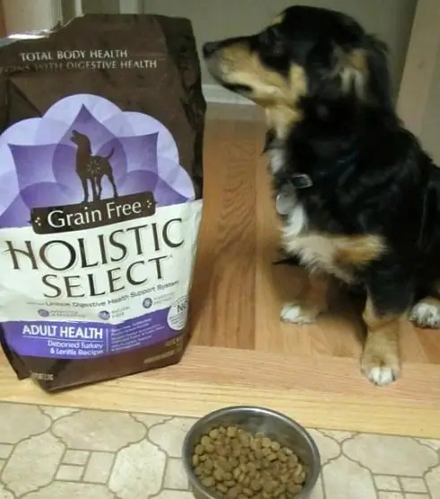 dog food super hwm holistic