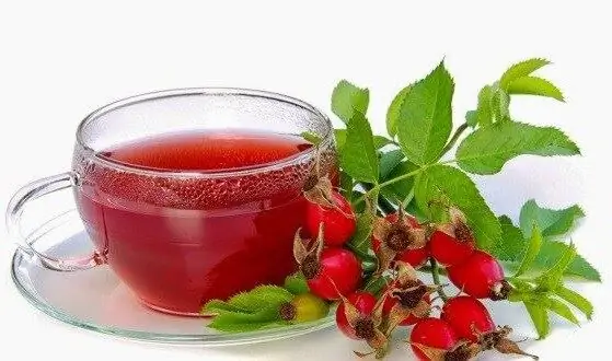 Rosehip during pregnancy: useful properties and contraindications